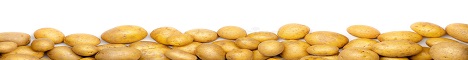 potato skyblock