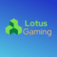 Lotus Network Economy