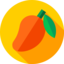 Mango-Net