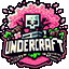 UnderCraft Network