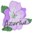 Azurius Towny Server